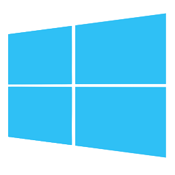 Windows 10 Pro